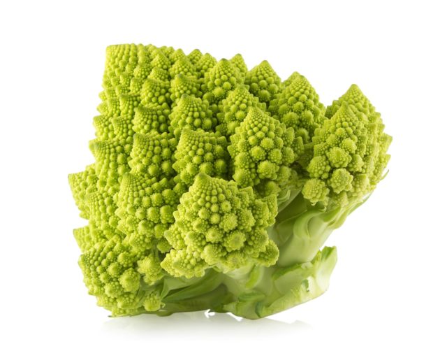 Filosofie - Domein Marsnil