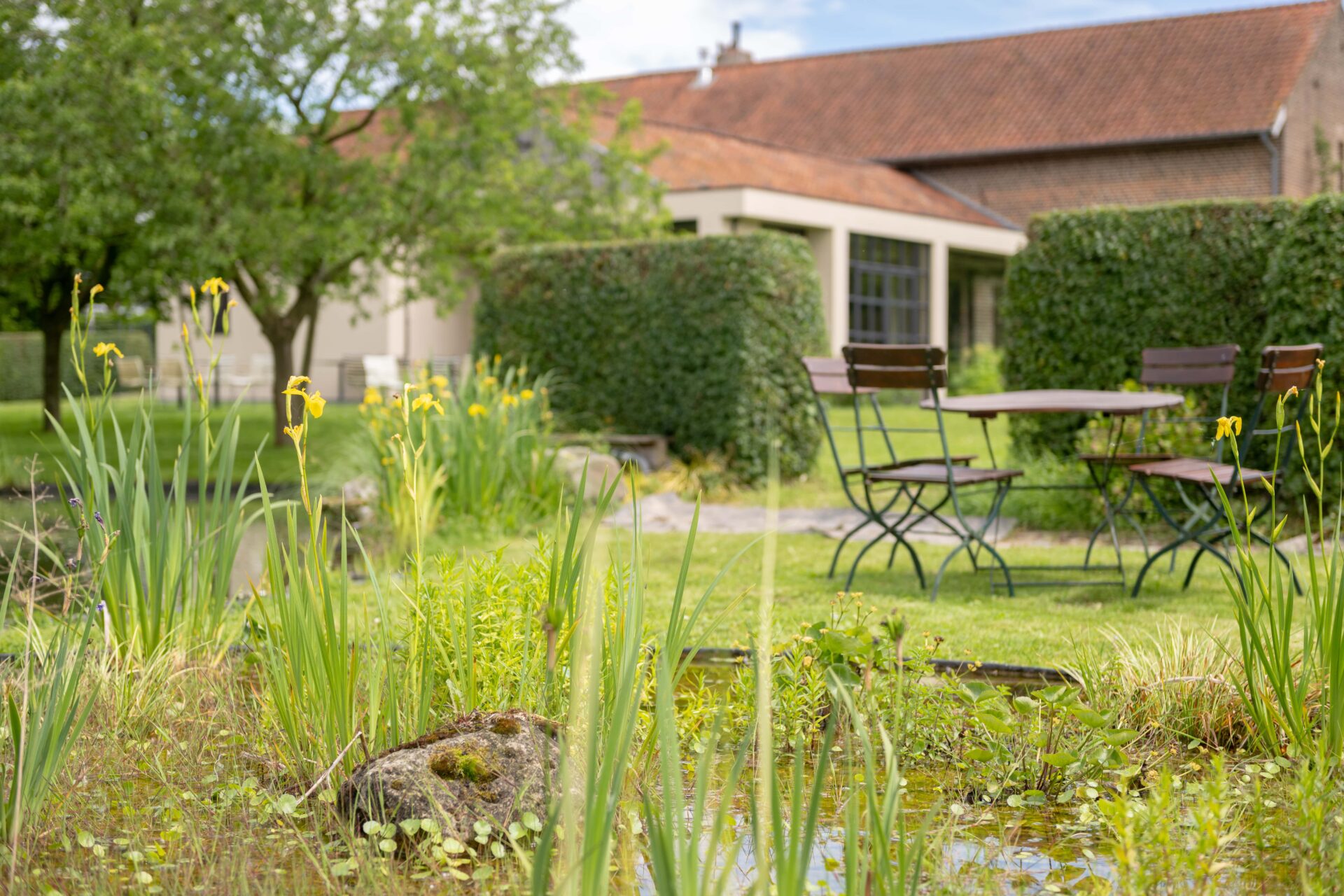 Arrangementen - Domein Marsnil