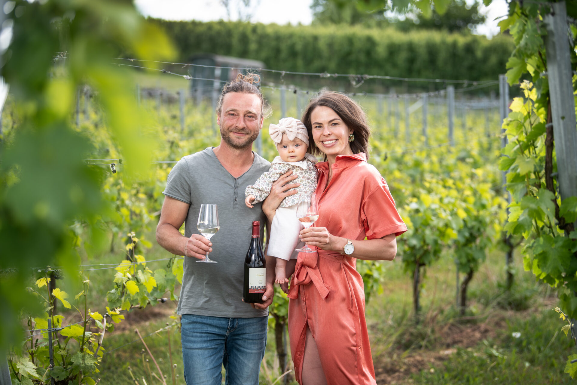 Wijndomein - Domein Marsnil