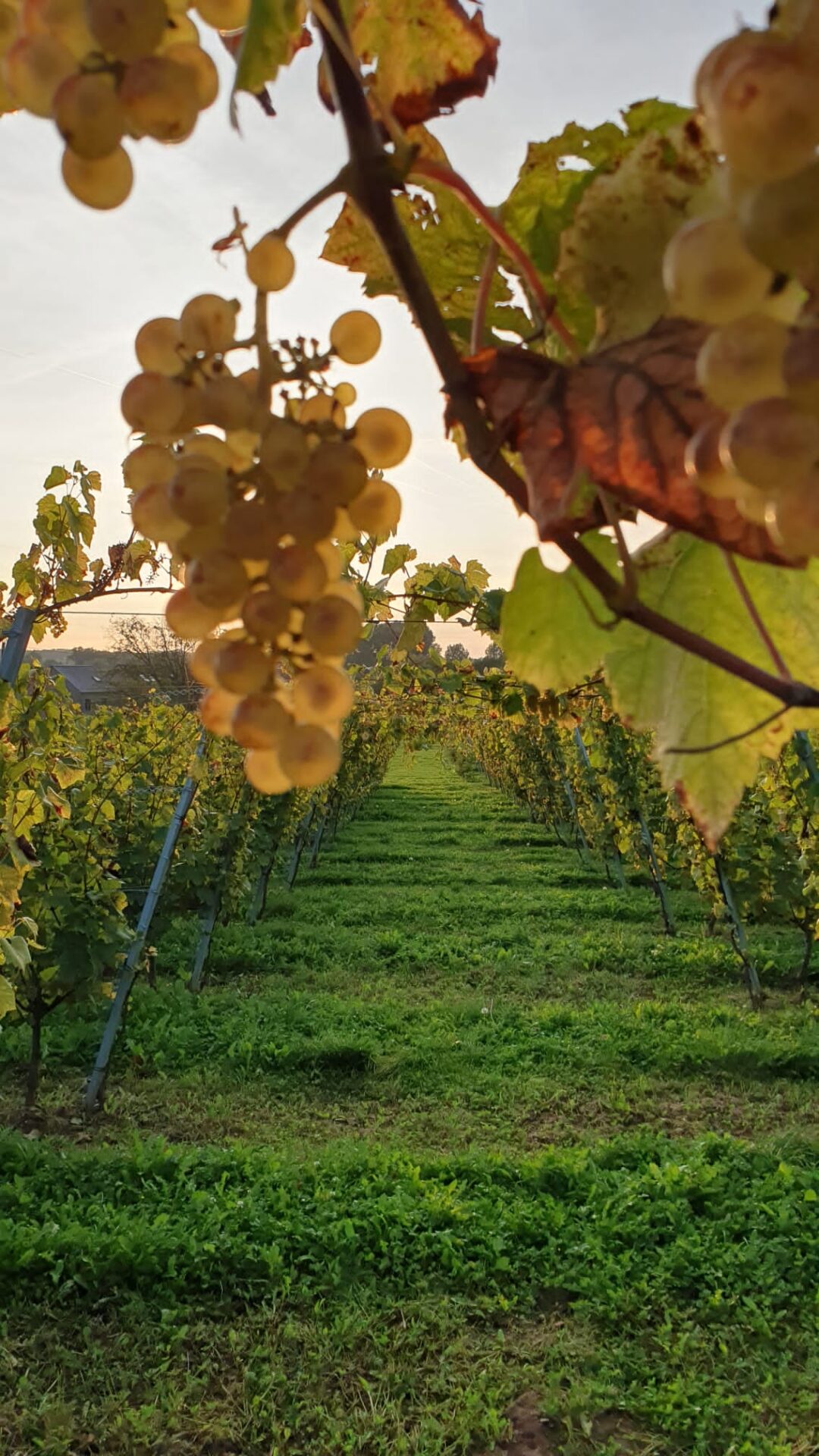 Fotoboek - Domein Marsnil